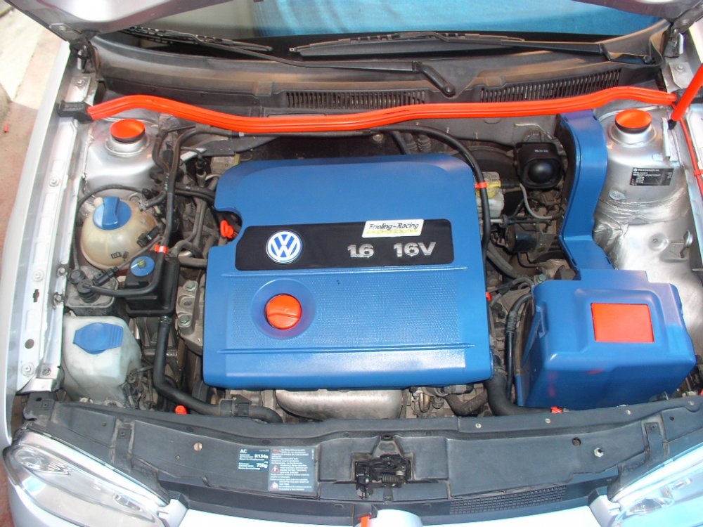 P1010201.JPG