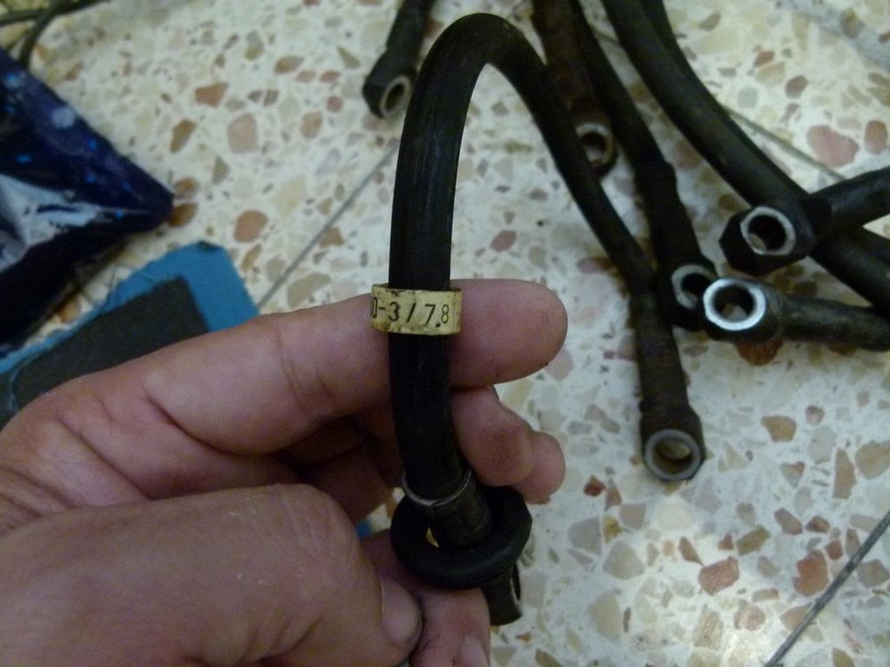 P1010206.JPG