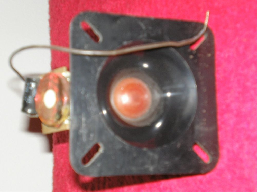 P1010216.jpg