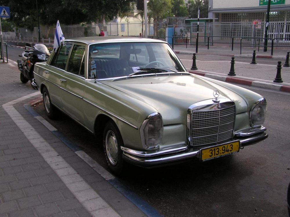 P1010297.JPG