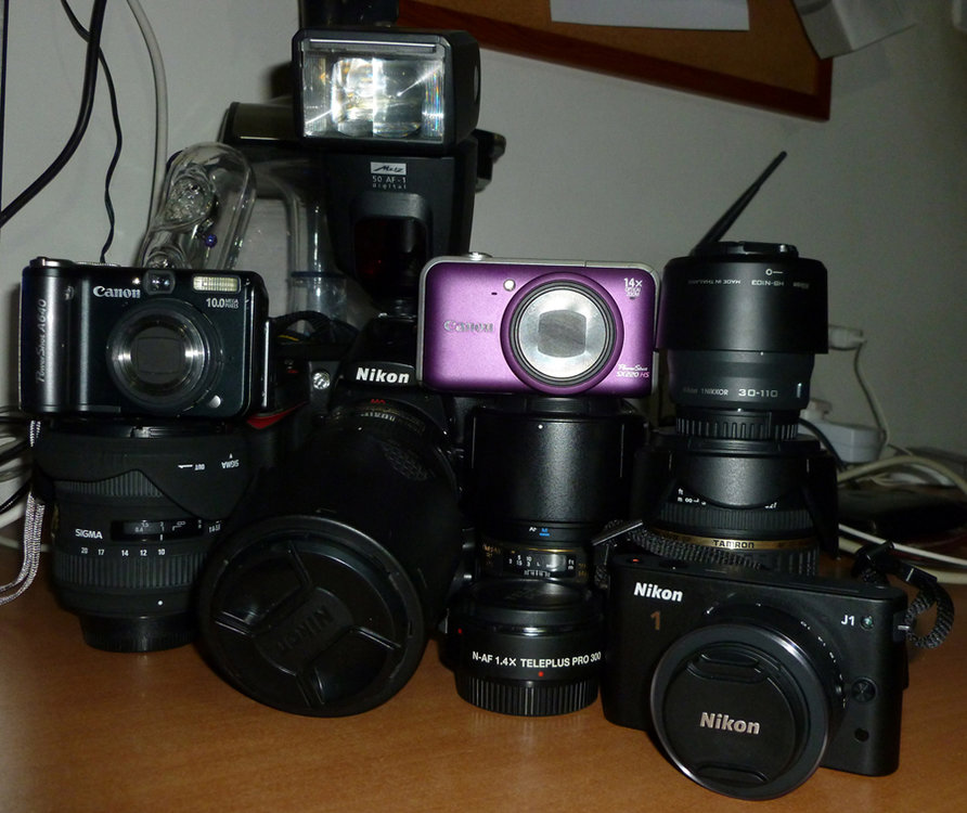 P1010315.JPG