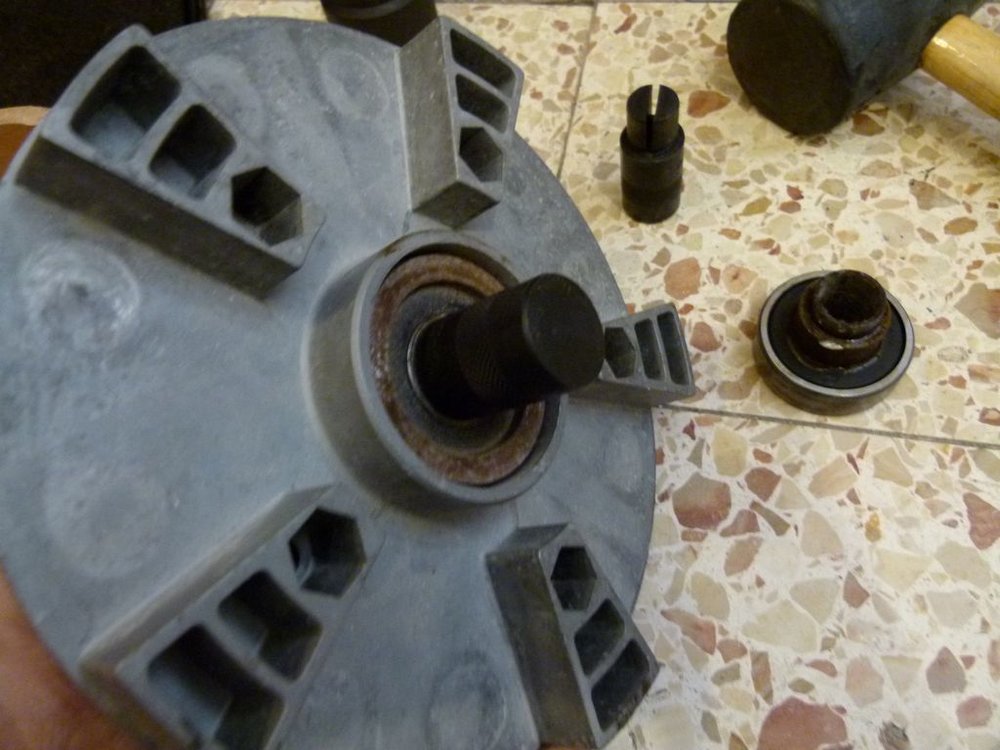 P1010557.JPG