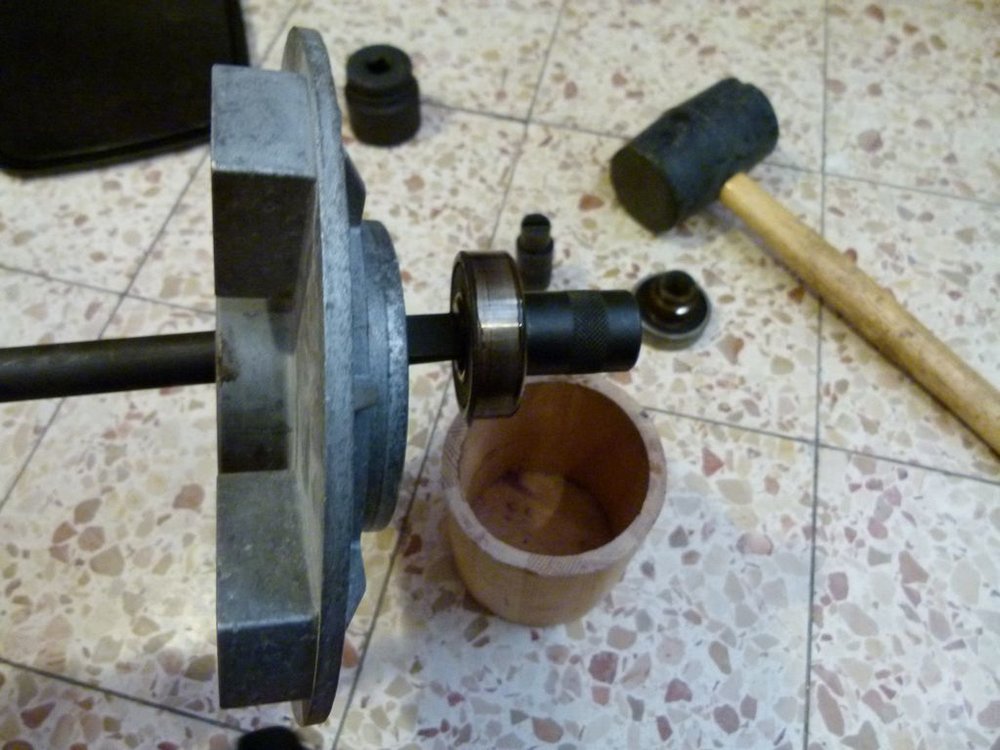 P1010561.JPG