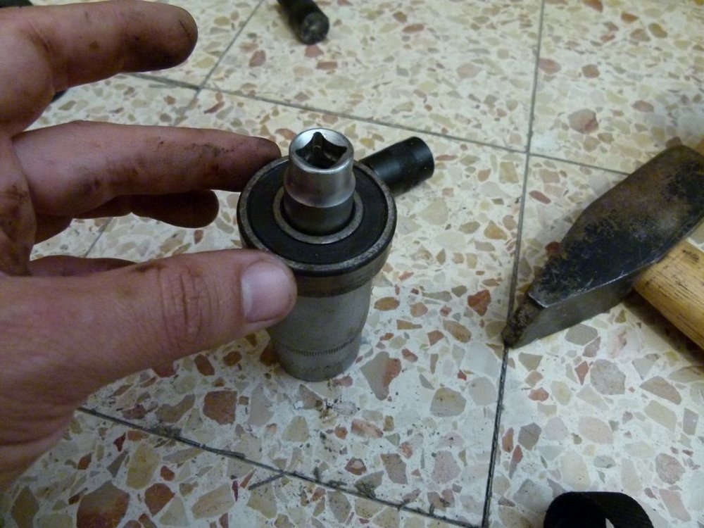 P1010569.JPG