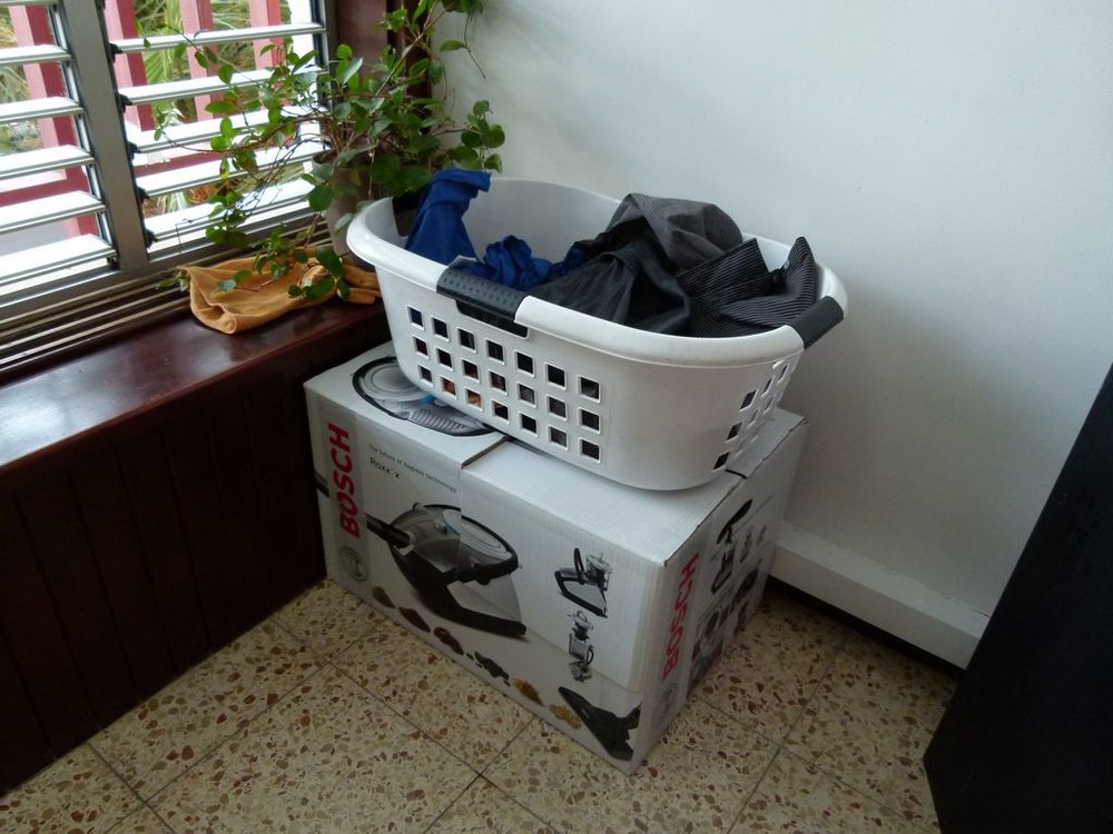 P1010768.JPG