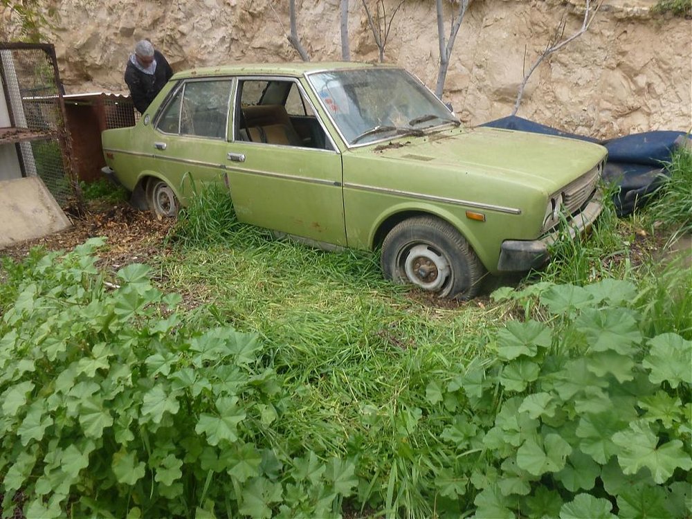 P1020192.jpg