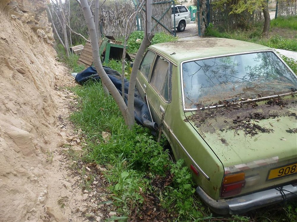 P1020197.jpg