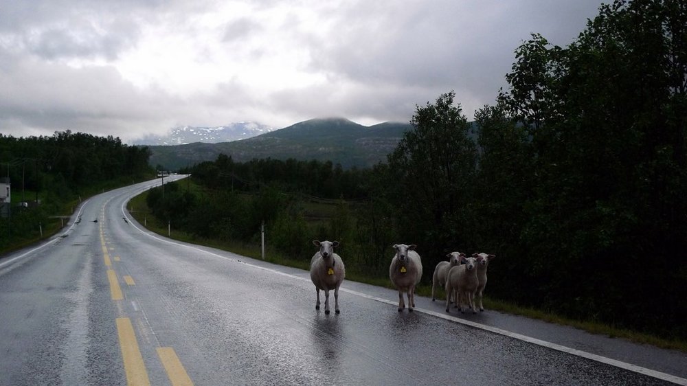 P1020344.JPG