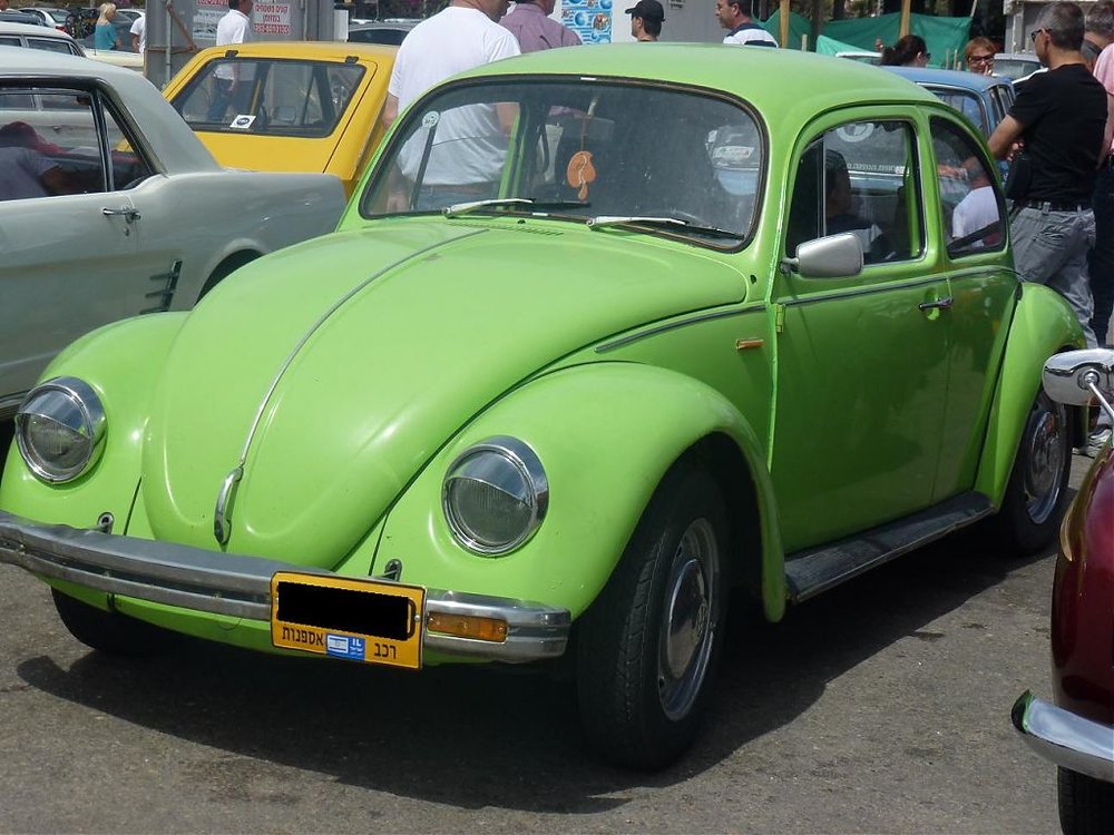 P1020469.jpg