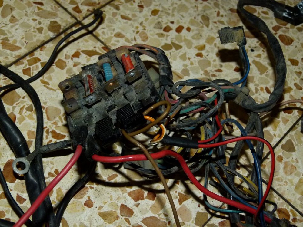 P1020626.JPG