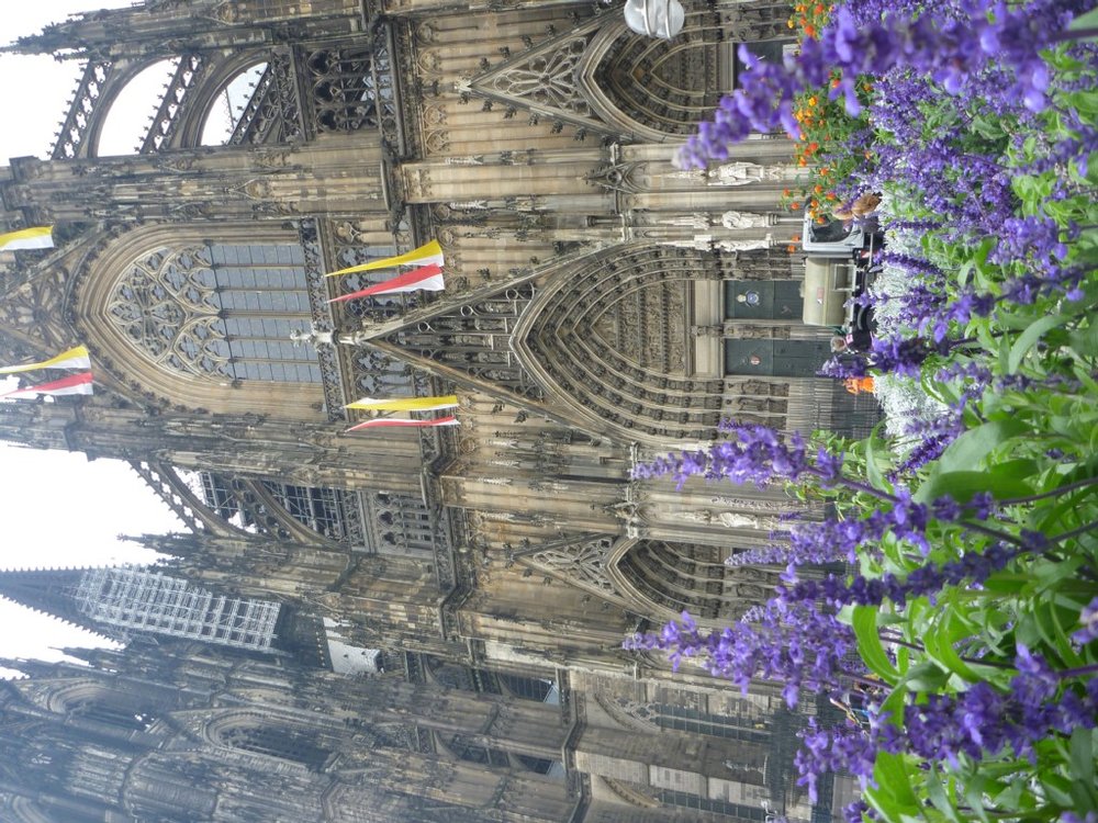 P1030215.jpg