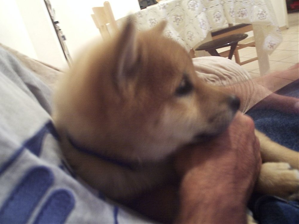 P1030250.jpg