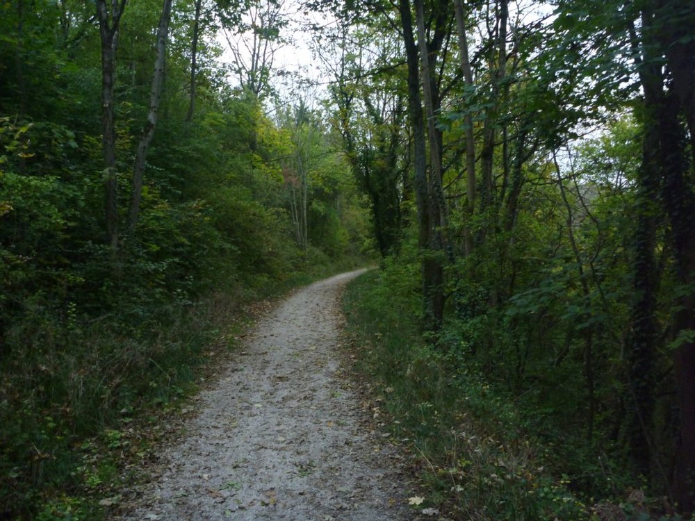 P1030428.jpg