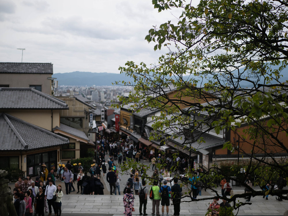P1030639.jpg