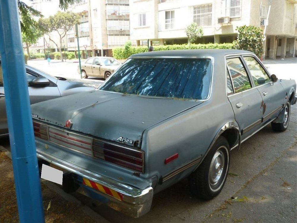 P1030820_800x600.jpg
