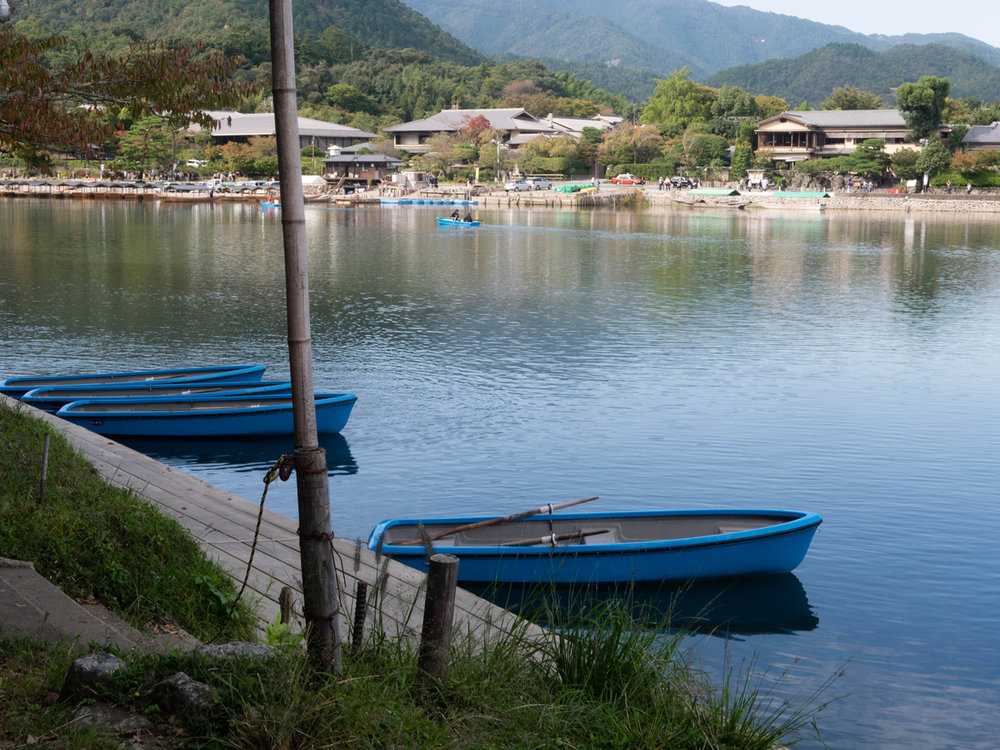 P1030920.jpg