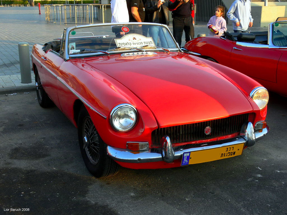 P1040367.jpg