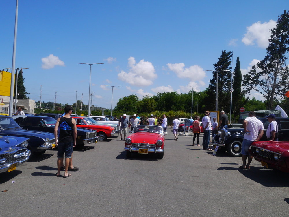 P1050001.jpg