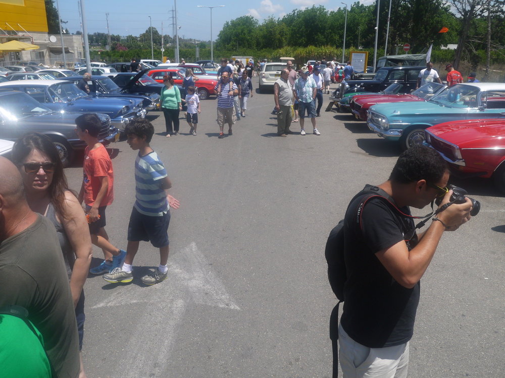 P1050004.jpg