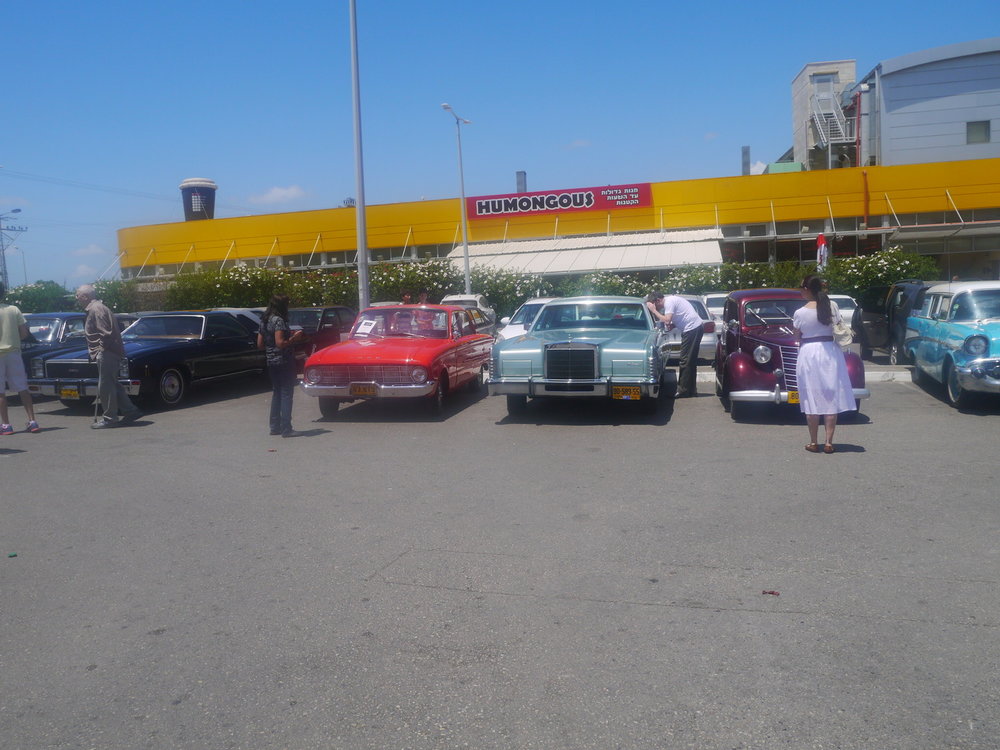 P1050006.jpg