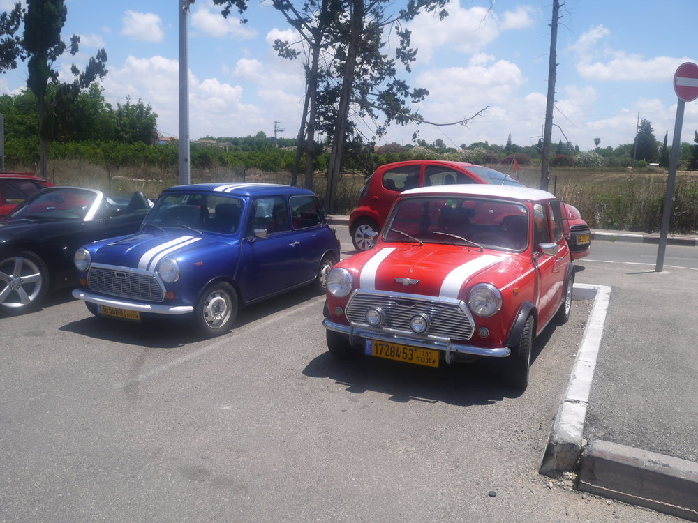 P1050007.jpg