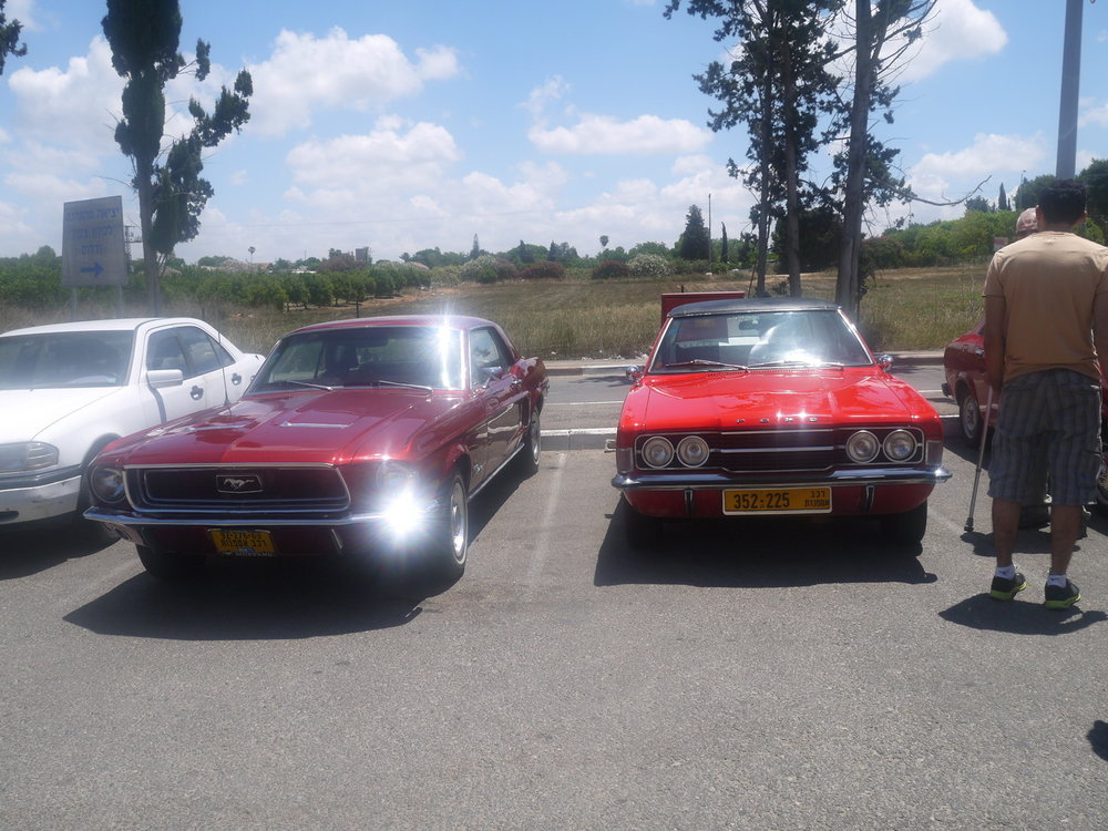P1050009.jpg