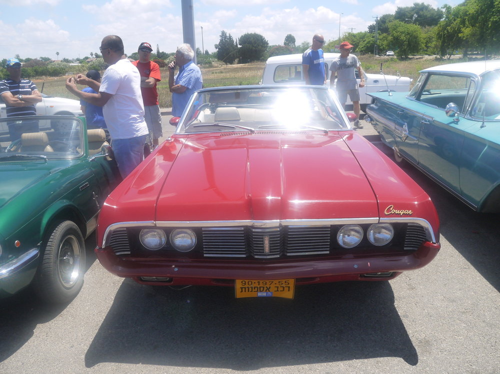 P1050015.jpg