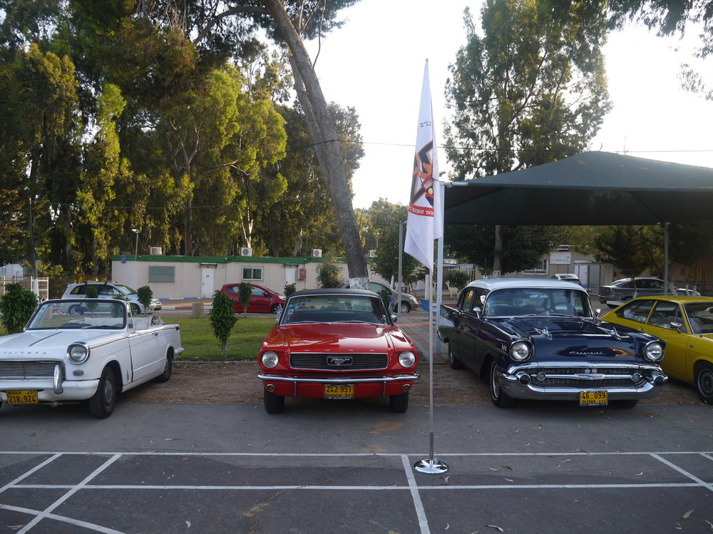 P1050048.jpg