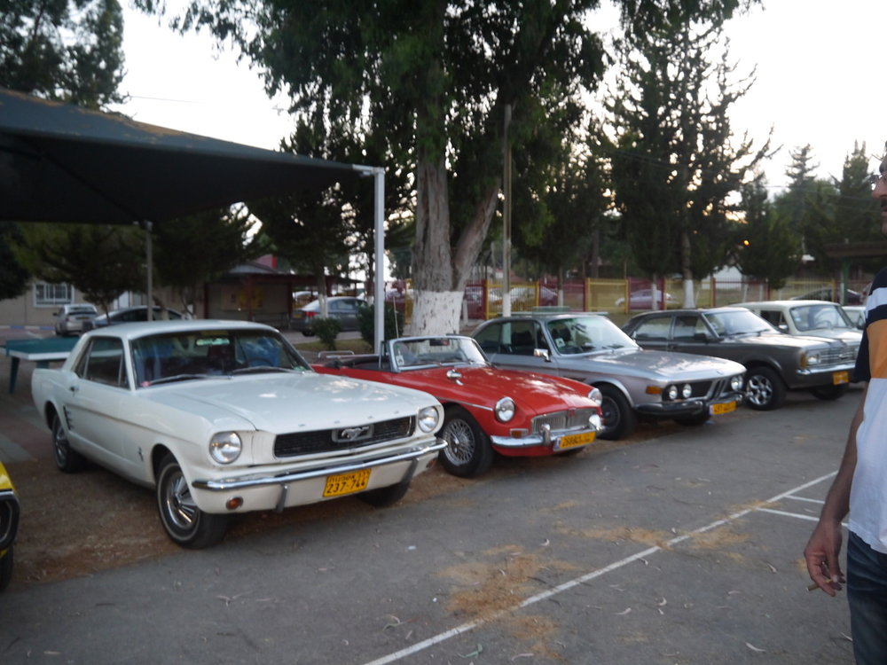 P1050060.jpg