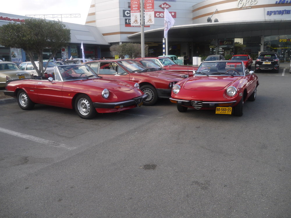 P1050424.jpg