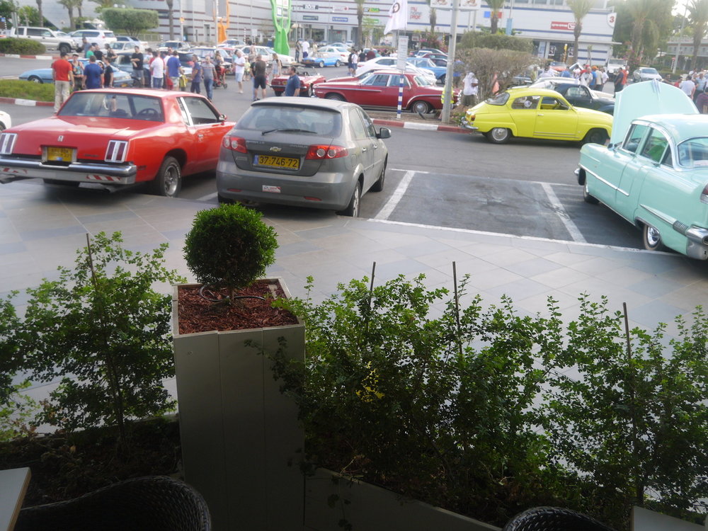 P1050427.jpg