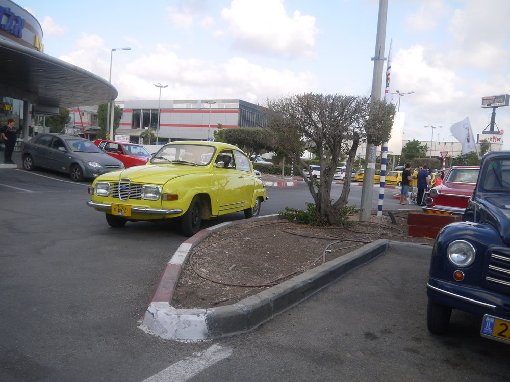 P1050433.jpg