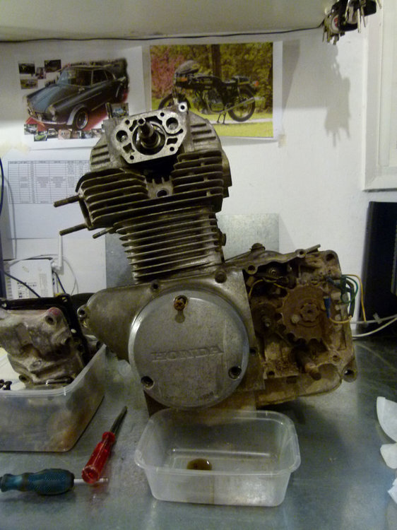 P1050444.JPG