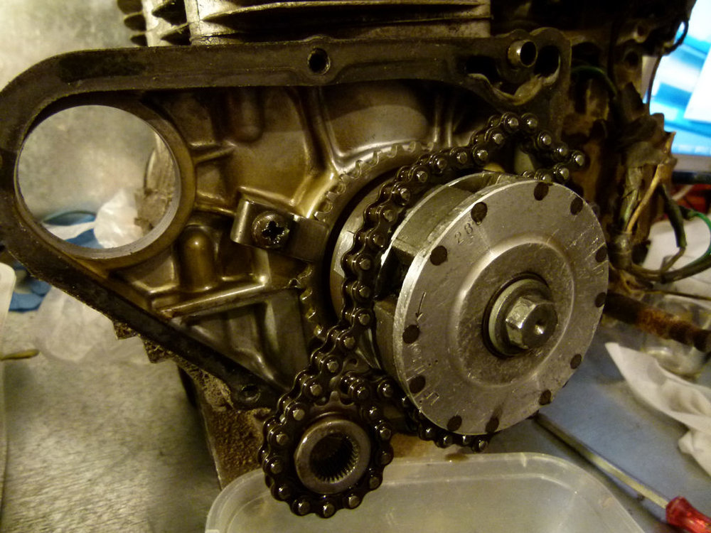 P1050451.JPG