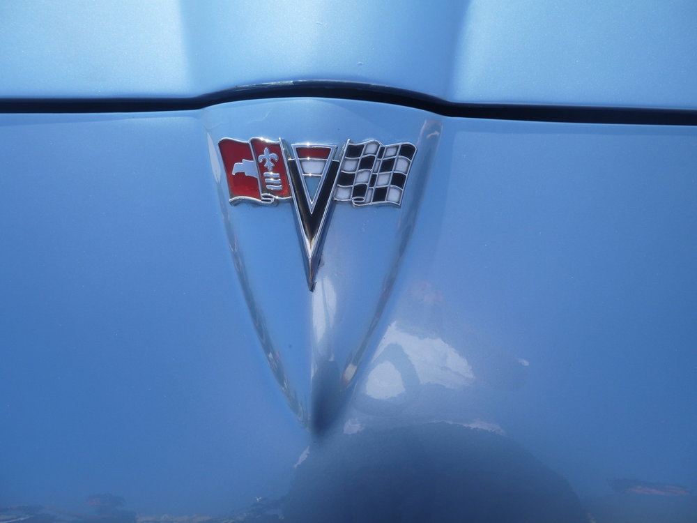 P1050532.jpg