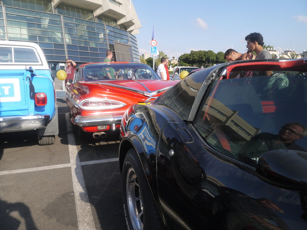 P1050534.jpg