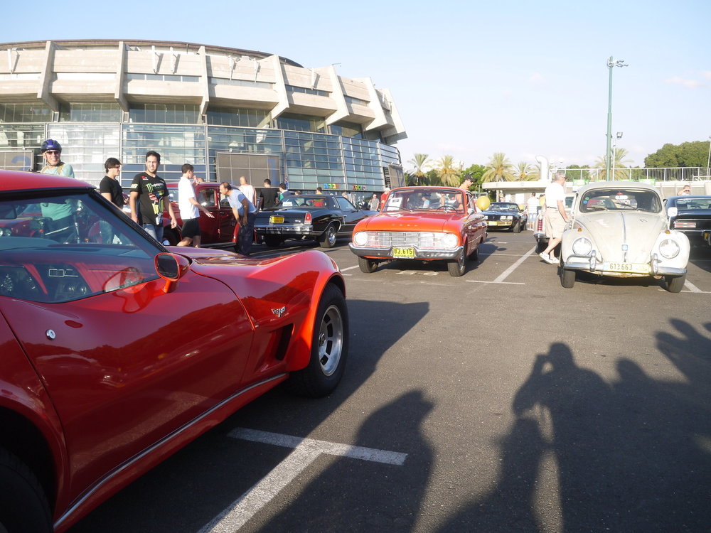 P1050554.jpg