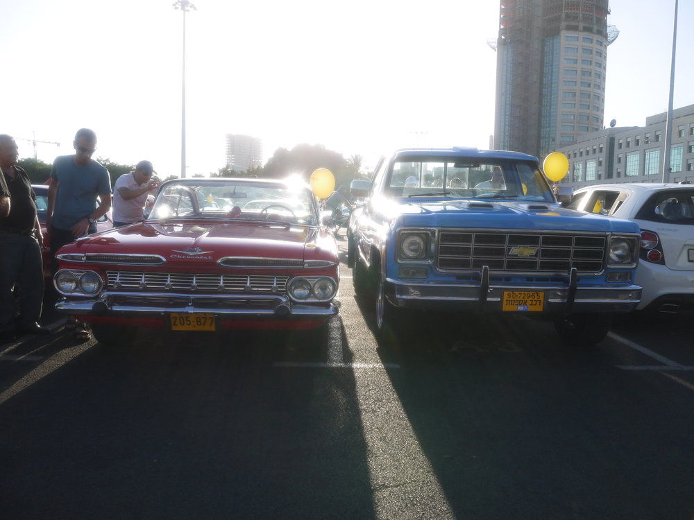 P1050559.jpg