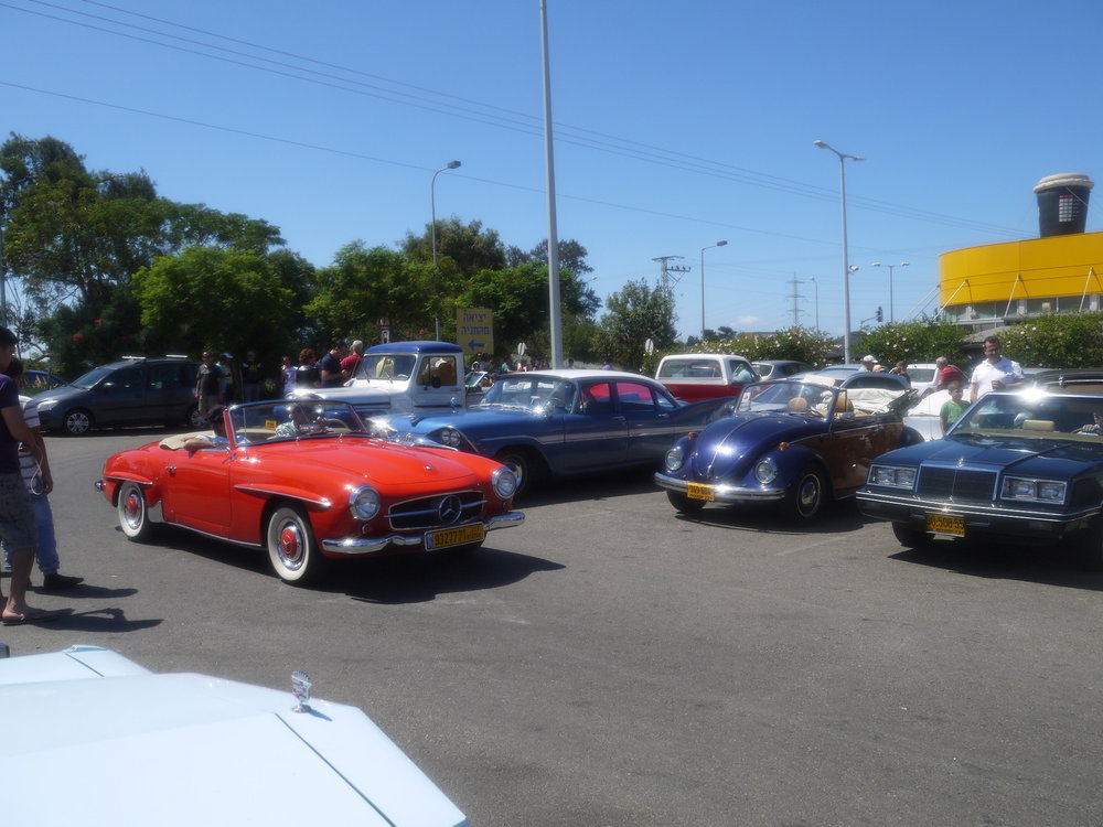 P1050568.jpg