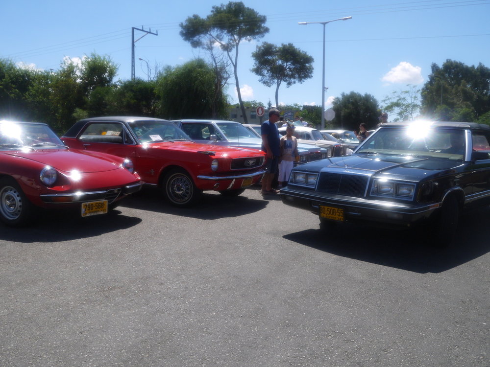 P1050572.jpg