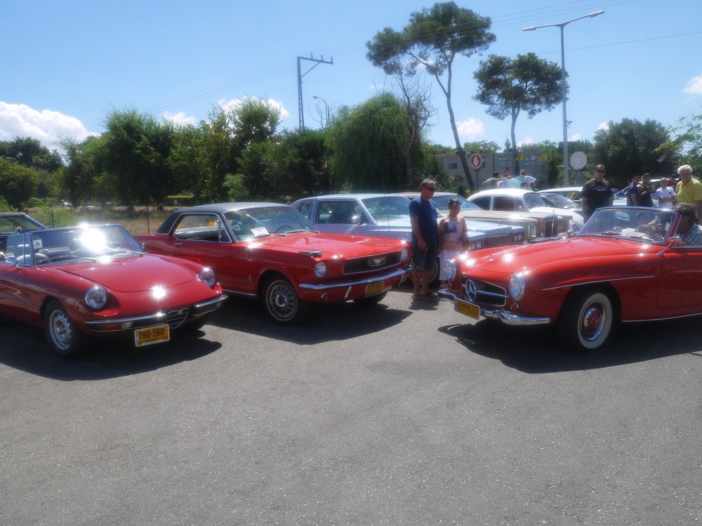 P1050574.jpg