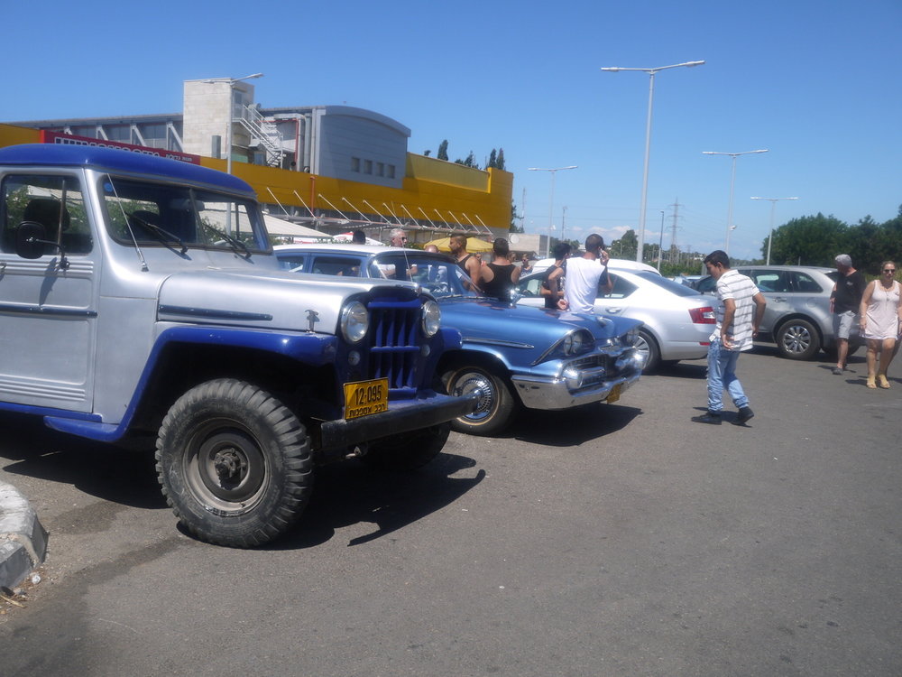 P1050585.jpg