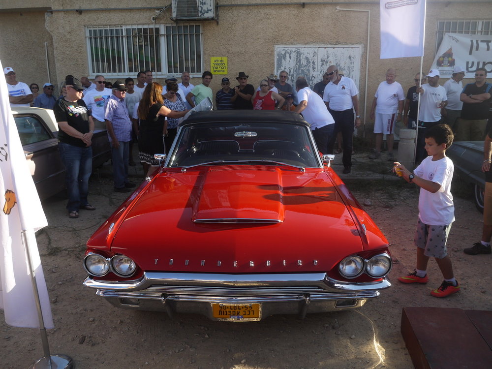 P1050628.jpg