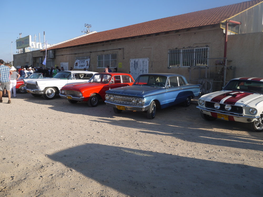 P1050631.jpg