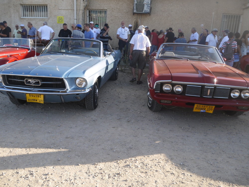 P1050634.jpg