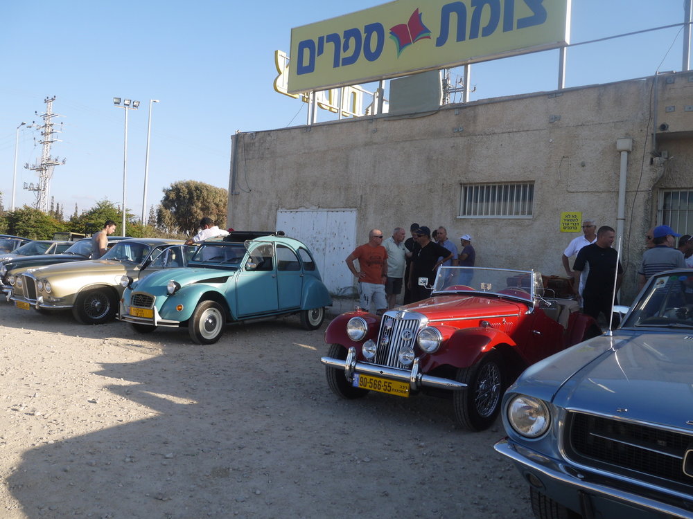 P1050635.jpg