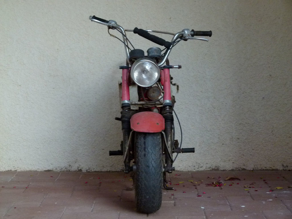 P1070413.JPG