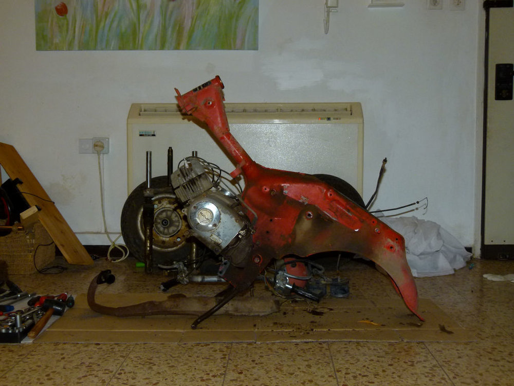 P1070433.JPG