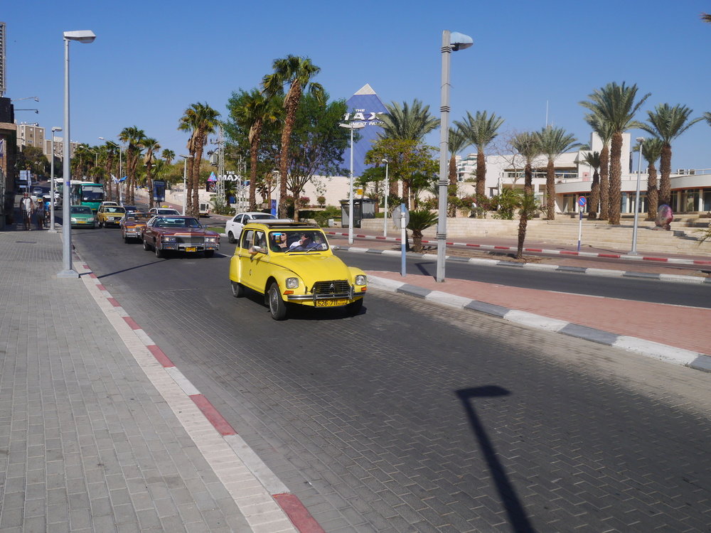 P1080825.jpg