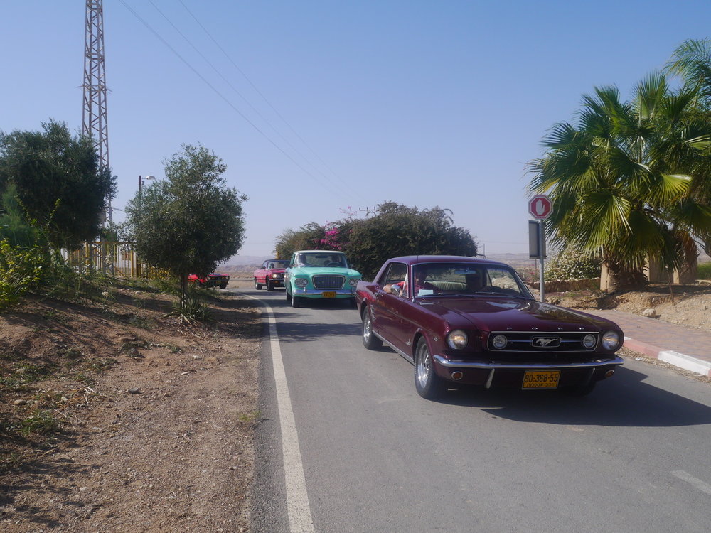 P1080980.jpg